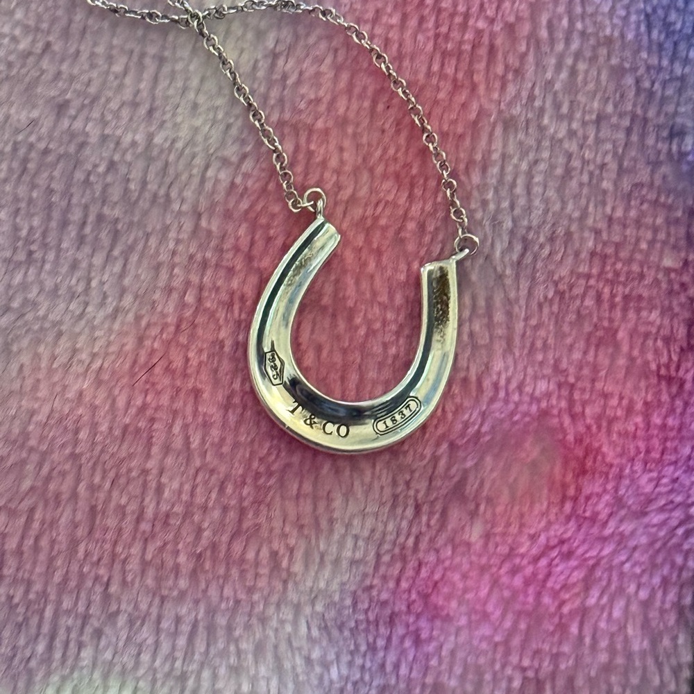 Authentic Tiffany & Co Sterling Silver 925 Horseshoe Necklace Pendant